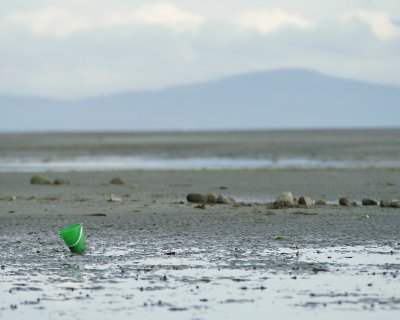 Green Bucket.jpg