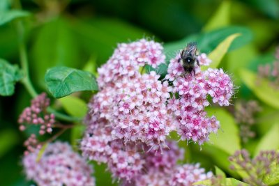 _02916web.jpg