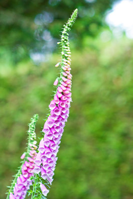 _02947web.jpg