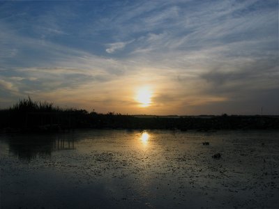 Sunrise in Louisiana Marsh
