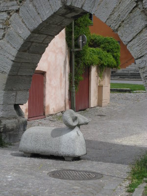A ram and a gate