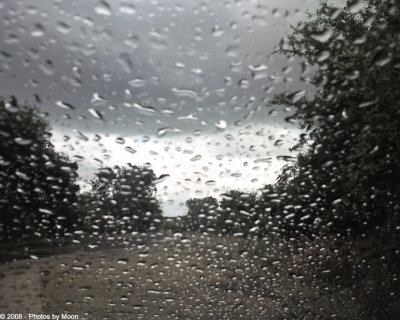 g5/06/585306/3/100131771.HinvPAZO.jpg