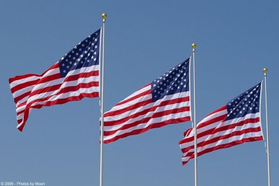 October 6th, 2006 - Flags 4129