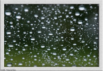 October 10th, 2006 - Rain drops 4217