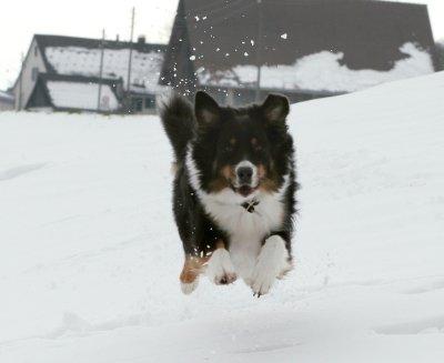 IMG_7483 Kopie.jpg