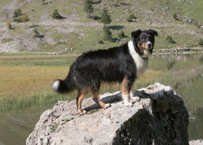 IMG_9484 Kopie.jpg