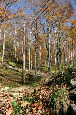 Bromont 08 Oct 06