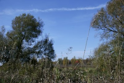 Boucherville Islands