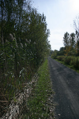 Boucherville Islands
