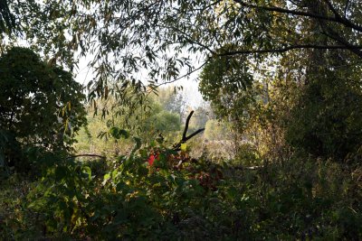 Boucherville Islands