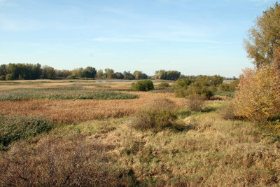 Boucherville Islands