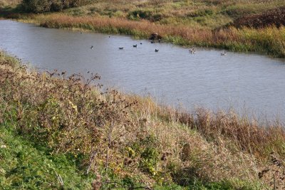 Boucherville Islands