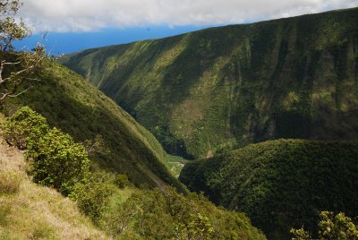 Honokane Nui Valley