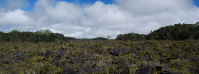 1881 Lava Field And Kipukas