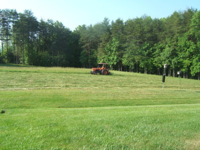 ``hay being cut``   one of three fields to be harvested.