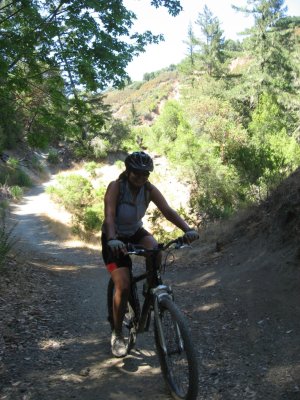 Violet's Wild Ride - Santa Cruz Mountains - Jul 26 08