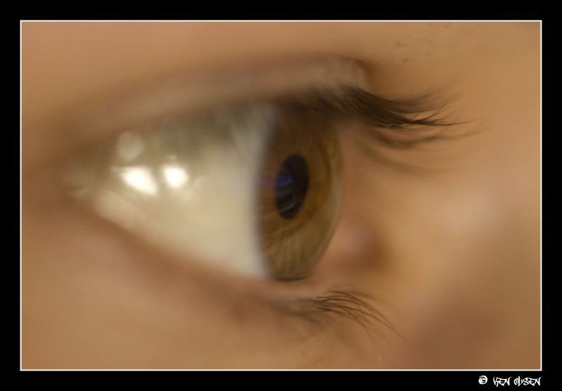 Idas Eye