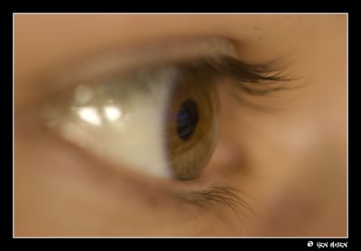 Ida's Eye