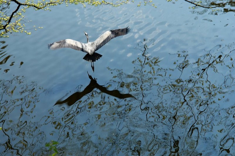 In flight by geetwee