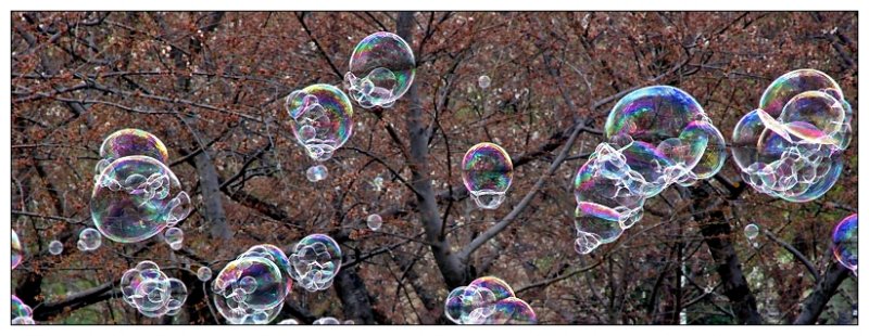 <b>7th Place </b><br>Bubbleoids* <br> by Derya Uzturk