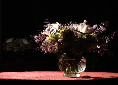 Night Flowers by JolieO