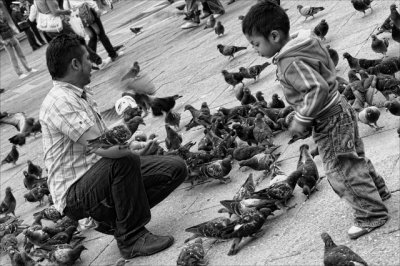 _DSC9470bw_small.jpg