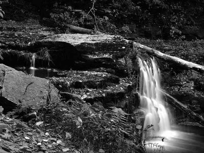 9th place - Ricketts Glen State Park