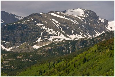 Summer in the Rockies