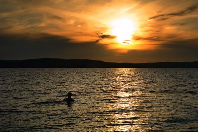 Swimming to sunset