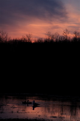 g5/06/862106/3/100503776.kyQ4qVth.jpg