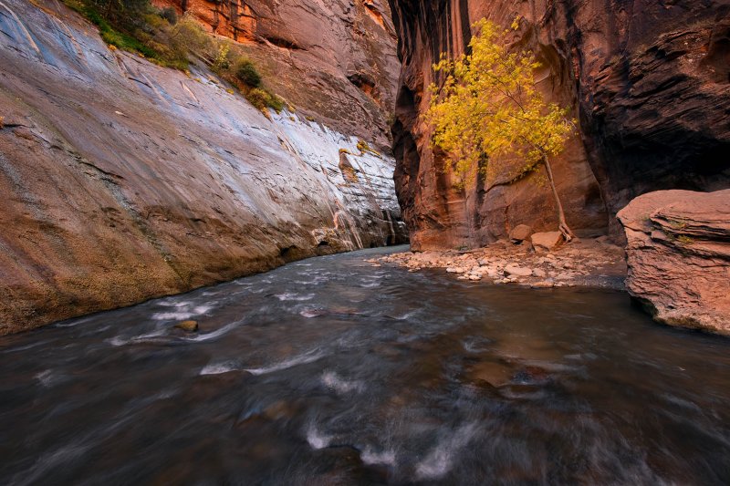 10192009-Zion-186
