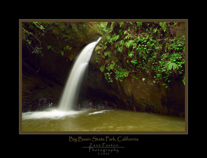 Sempervirens Creek.jpg
