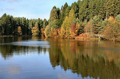 Mallards Pike Lake Forest of Dean.
