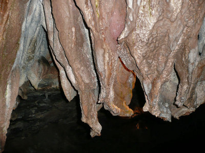 Dan-yr-Ogof caves, South Wales.