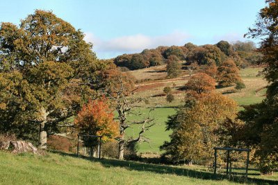 The Deer Park at Eastnor Castle, Herefordshire.