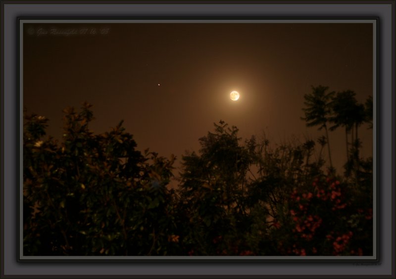 Jupiter Chasing The Moon West Over Magnolia, Jacaranda, Plumbago & Oleander