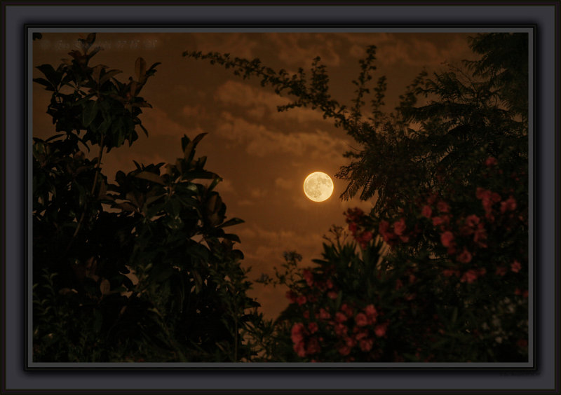 A Little Cloud Layer Tonight For Interest