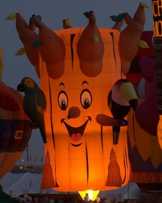 hot_air_balloons