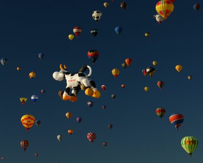 hot_air_balloons
