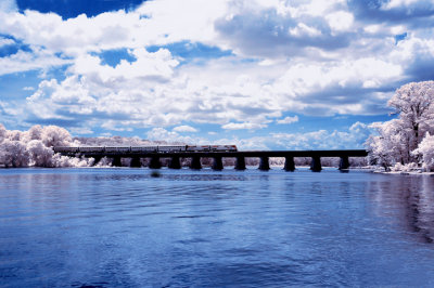 DSC_2803A.jpg