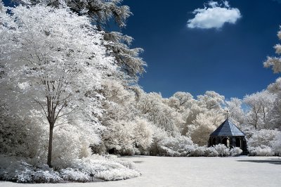 Bishop's Garden.JPG