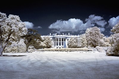 The White House2.jpg