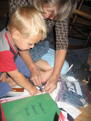 Simon and Baba make a book