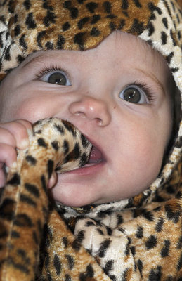 So ferocious she bites her own tail