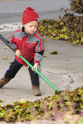 Hardworking leaf sweeper