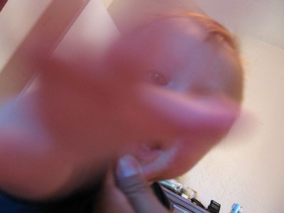 No cameras!