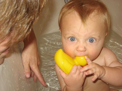 Chewing rubber ducky