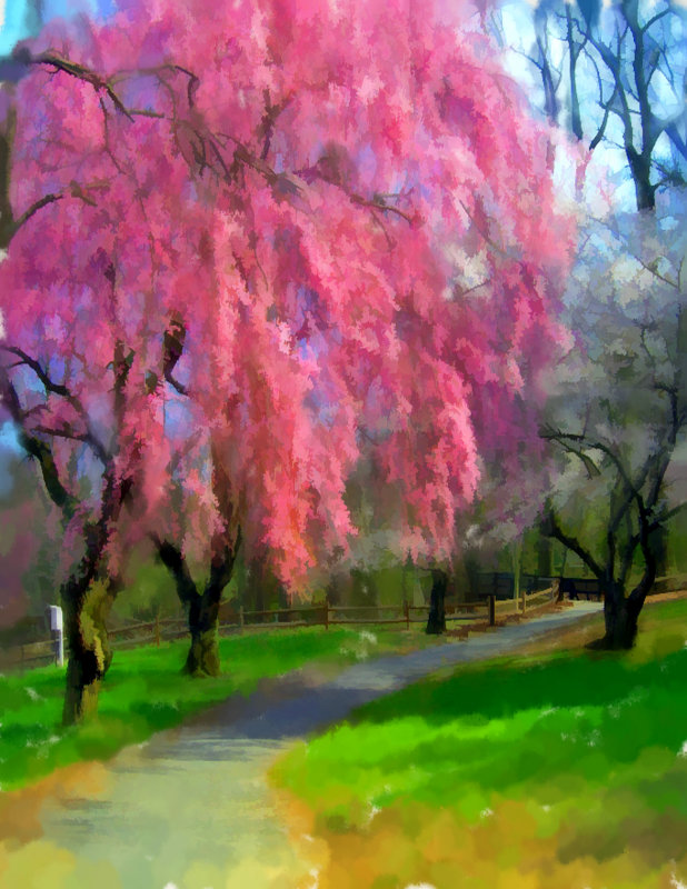 pinktreewatercolor051004a.jpg
