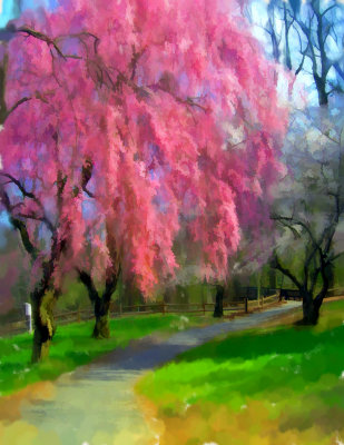 pinktreewatercolor051004a.jpg
