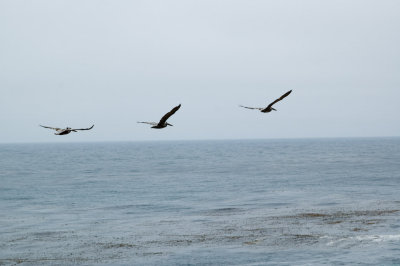 20080622-_DSC0001.jpg